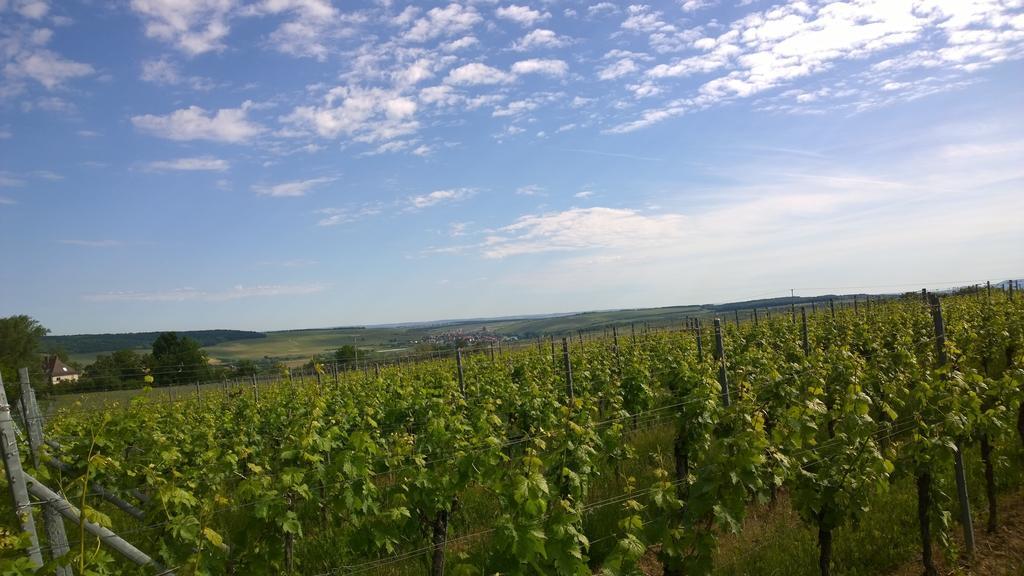 Weinhotel Rose Volkach Zewnętrze zdjęcie